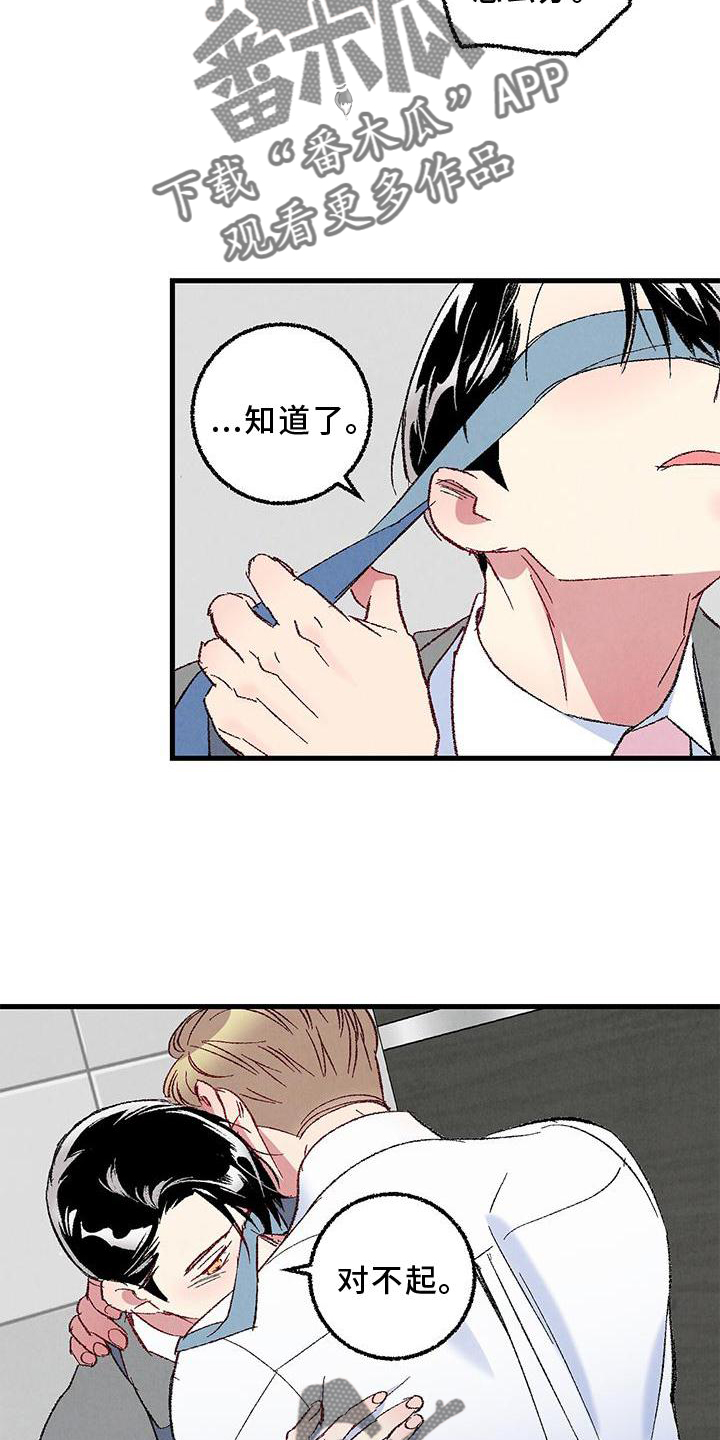 《完美伴侣》第117章【第二季】重新介绍 第11页