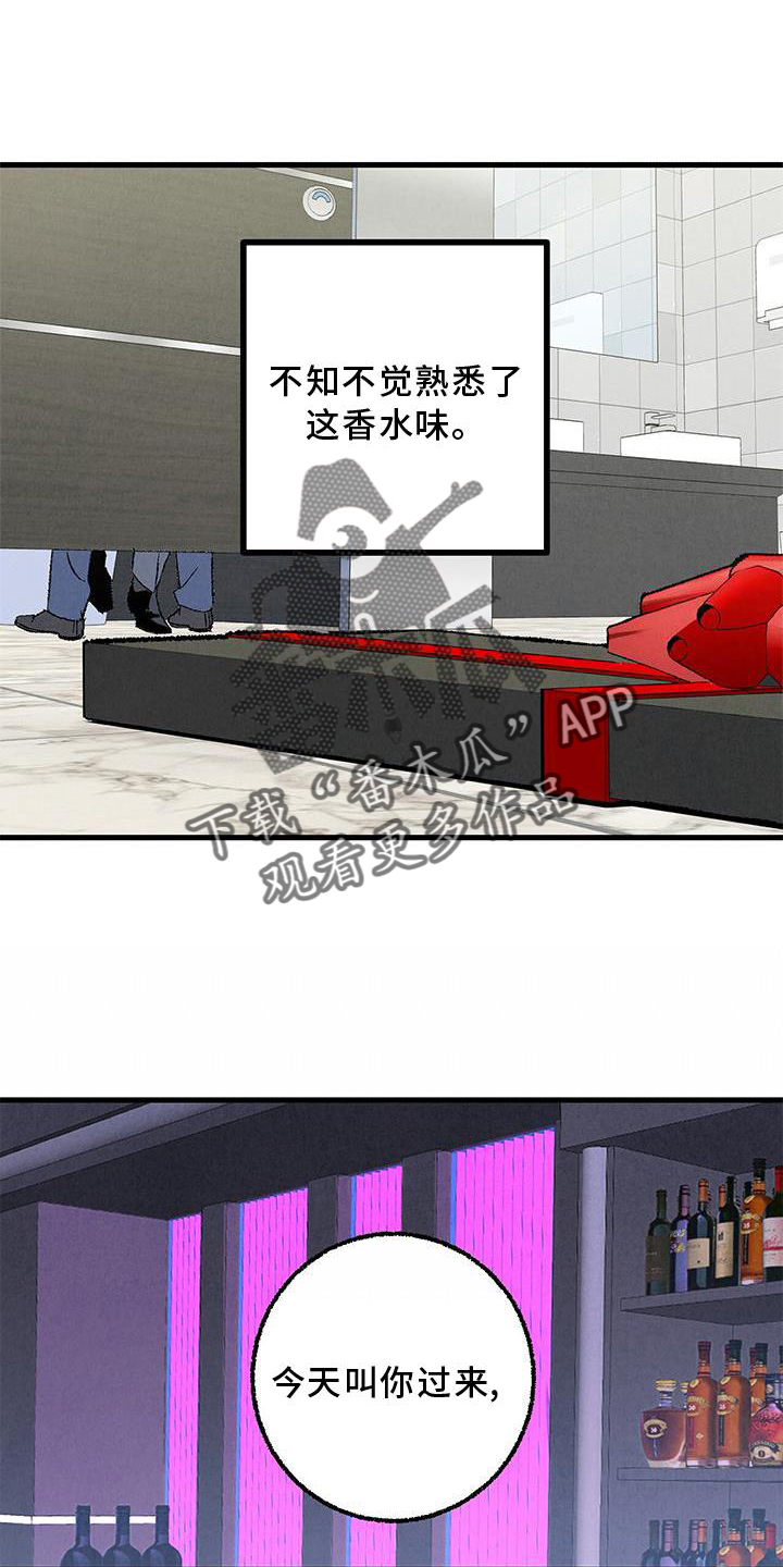 《完美伴侣》第117章【第二季】重新介绍 第13页