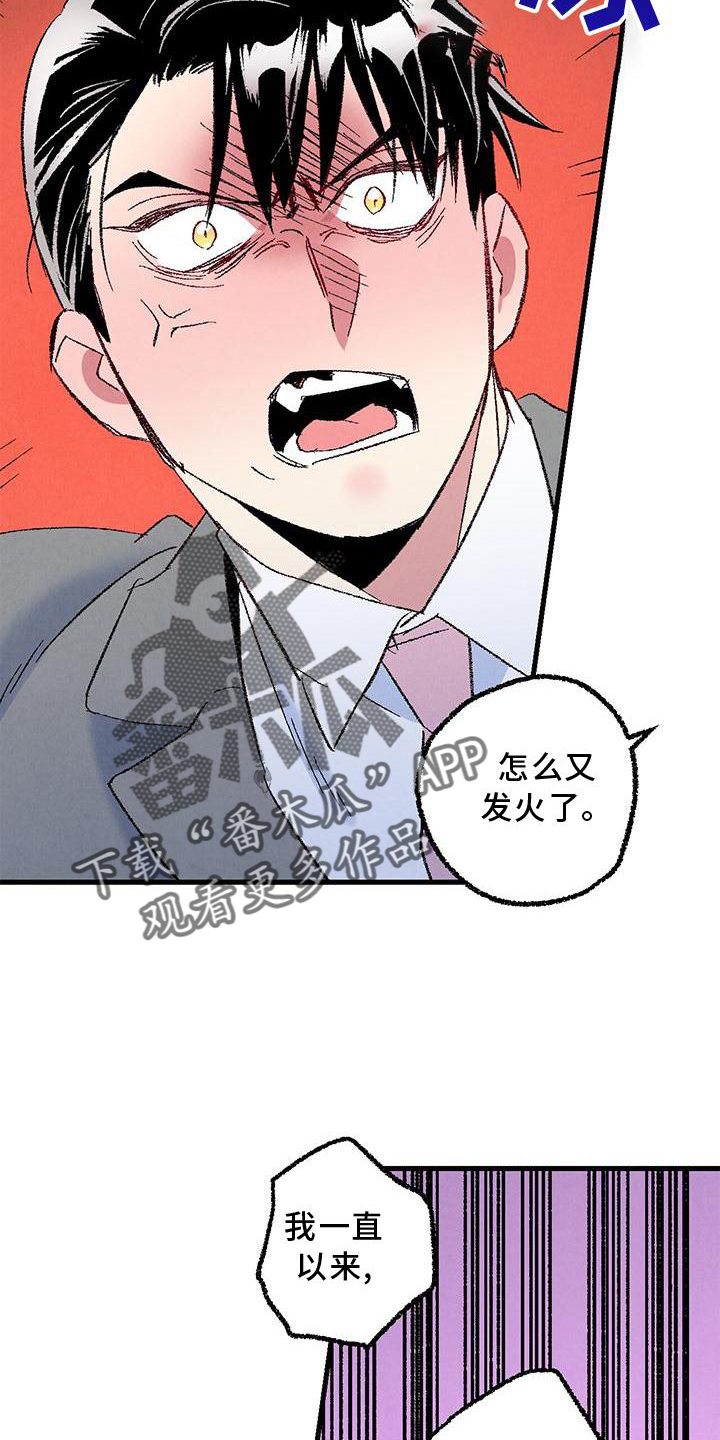 《完美伴侣》第117章【第二季】重新介绍 第7页