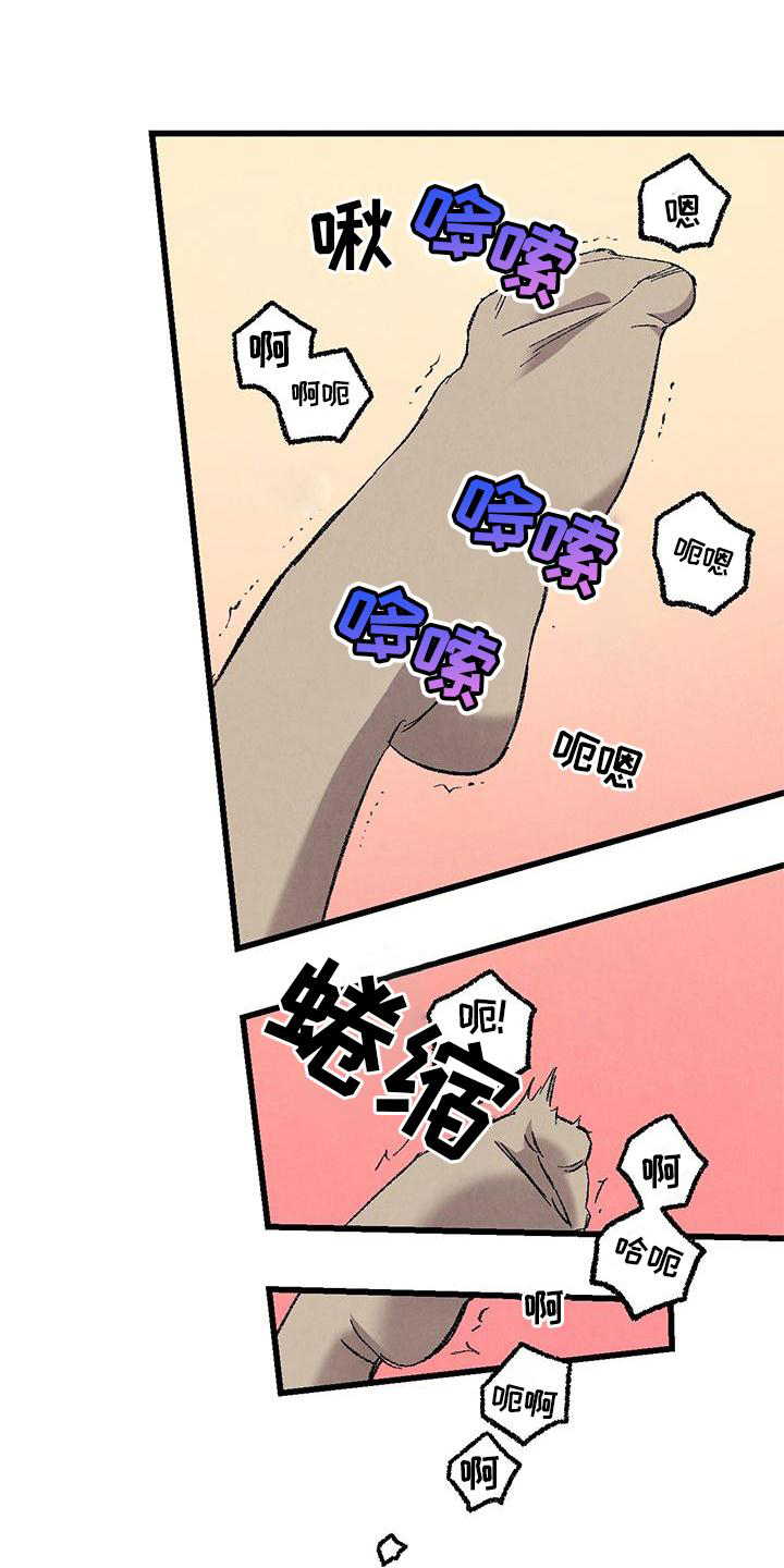 《完美伴侣》第119章【第二季】一团糟 第6页