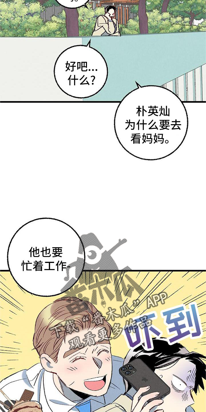 《完美伴侣》第120章【第二季】能力 第12页