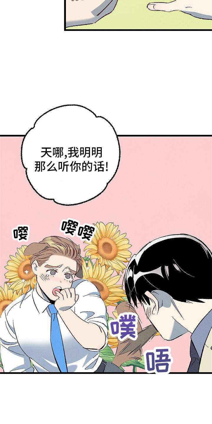 《完美伴侣》第120章【第二季】能力 第19页