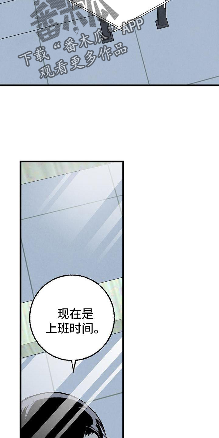 《完美伴侣》第120章【第二季】能力 第2页