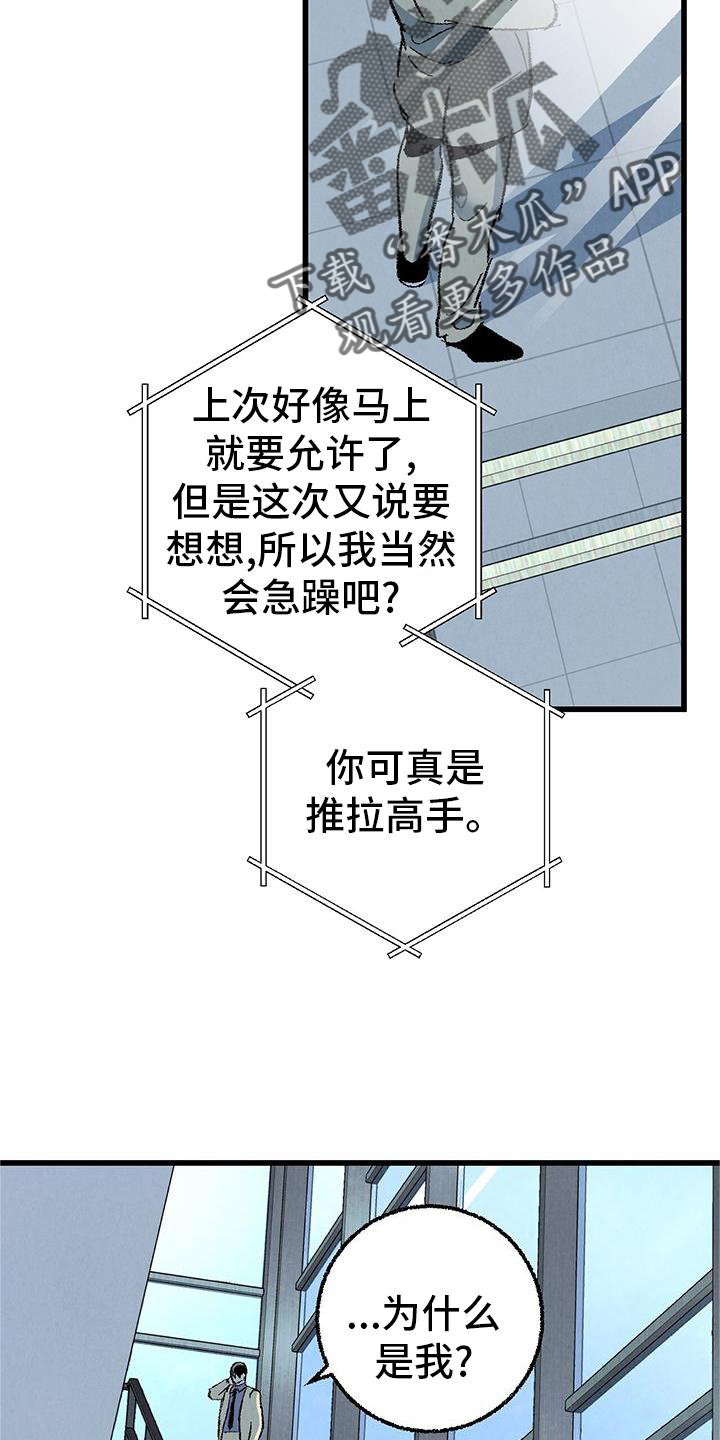 《完美伴侣》第120章【第二季】能力 第4页