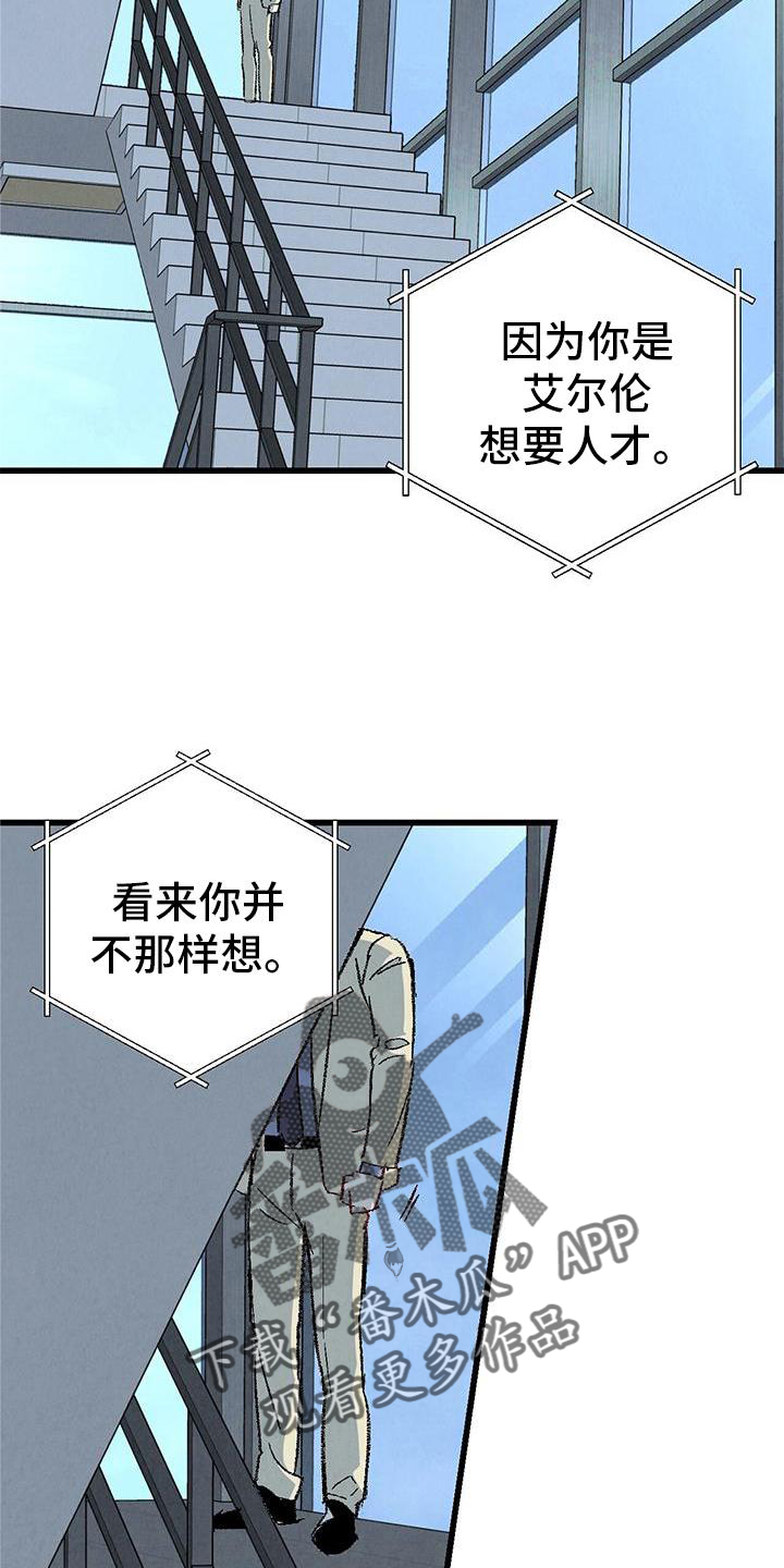 《完美伴侣》第120章【第二季】能力 第5页