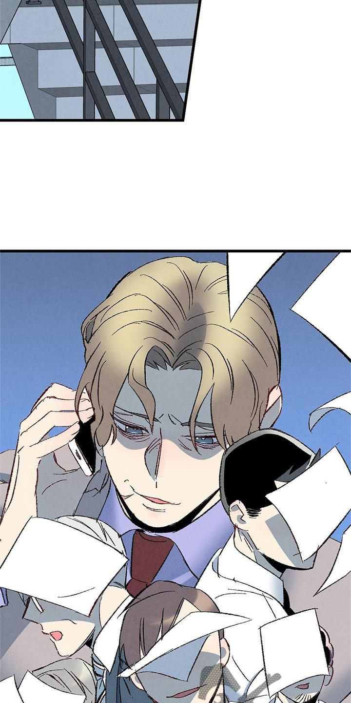 《完美伴侣》第120章【第二季】能力 第6页