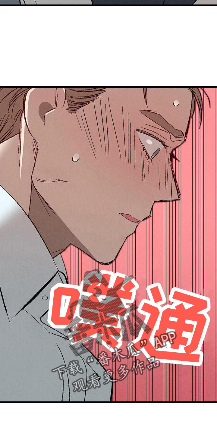 《完美伴侣》第121章【第二季】难过 第11页