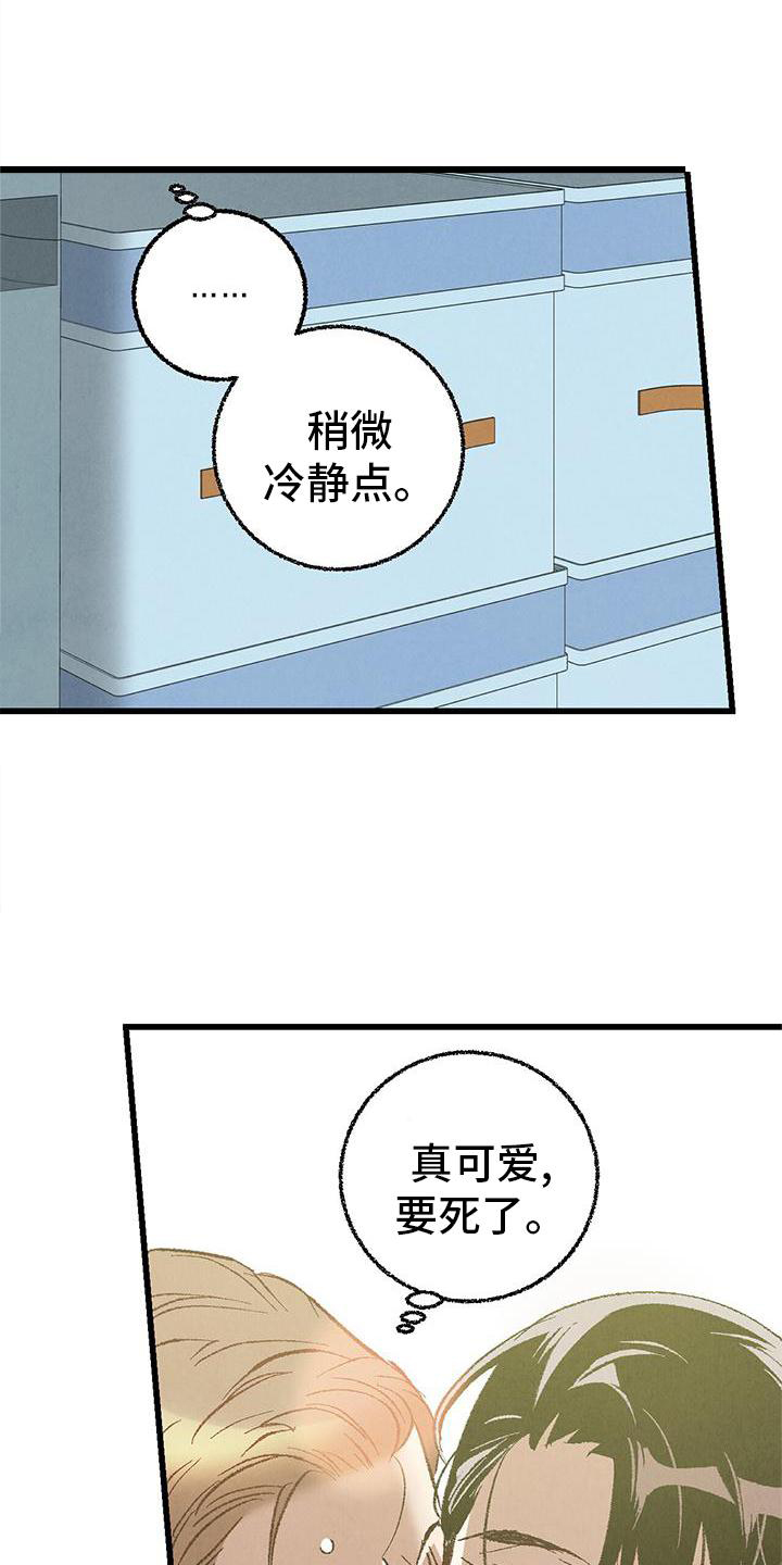 《完美伴侣》第121章【第二季】难过 第12页