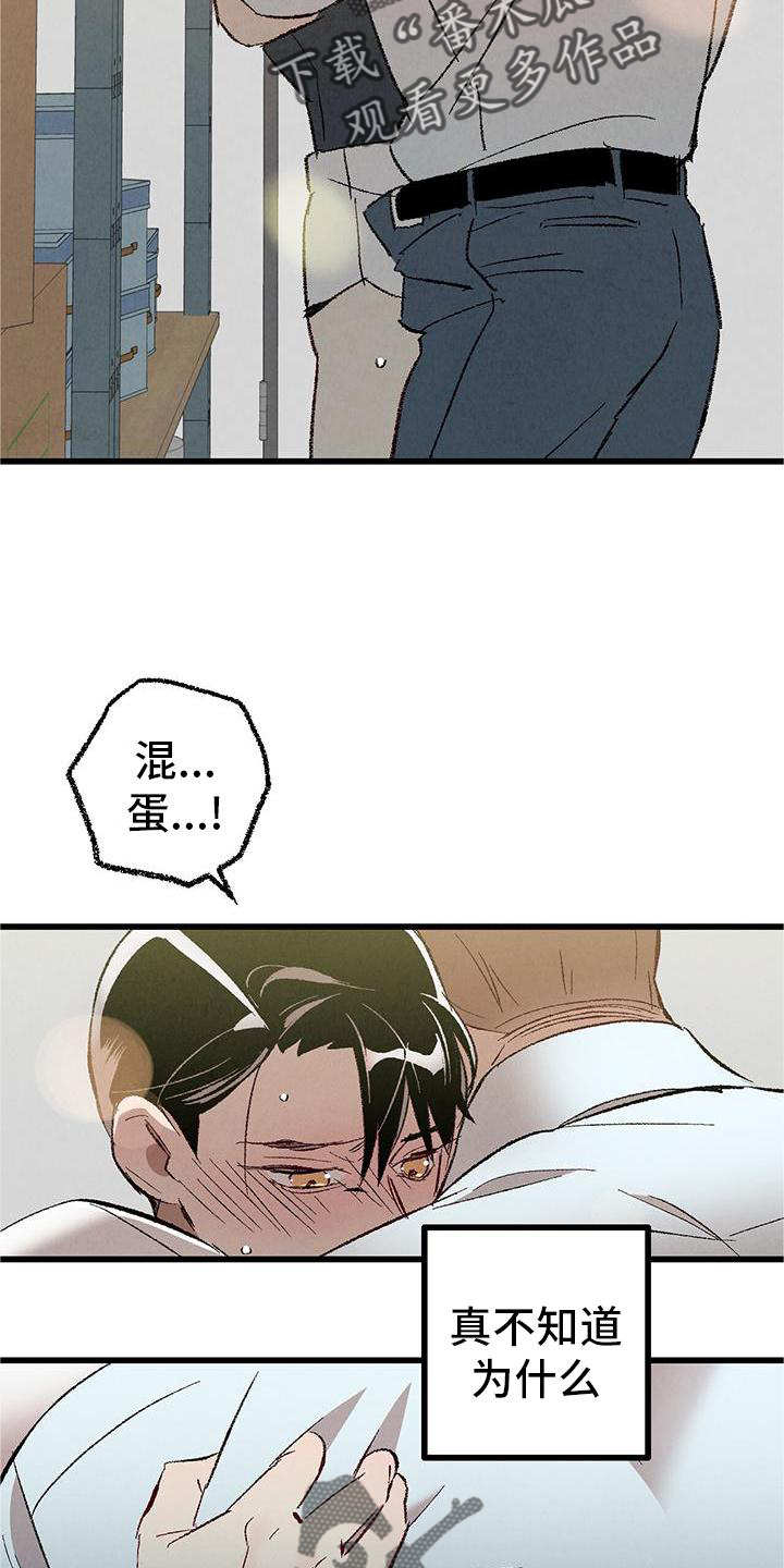 《完美伴侣》第121章【第二季】难过 第21页