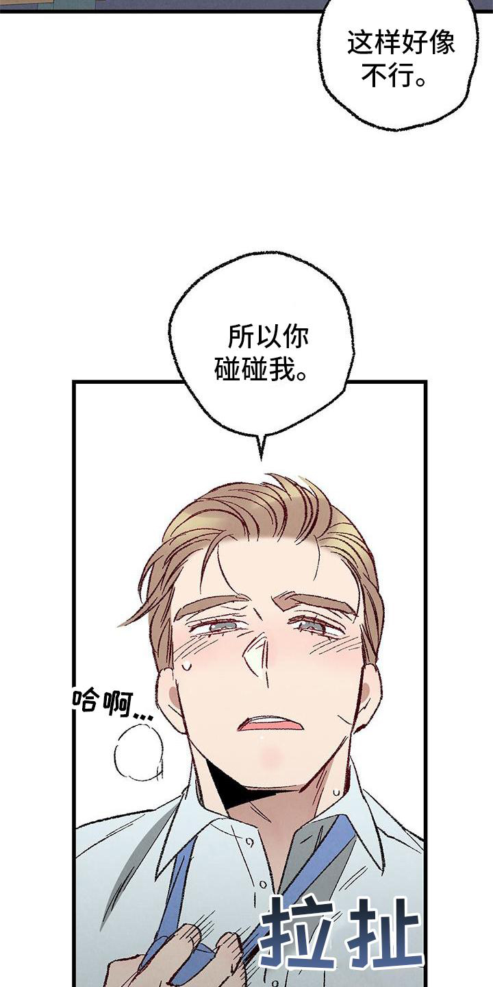 《完美伴侣》第121章【第二季】难过 第5页
