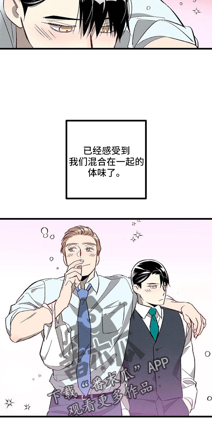 《完美伴侣》第122章【第二季】了解的太少 第14页