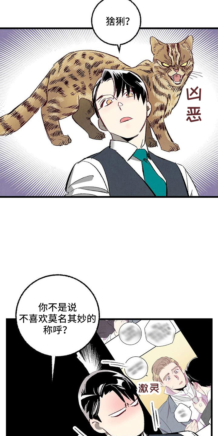 《完美伴侣》第122章【第二季】了解的太少 第18页