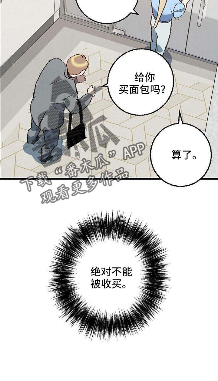 《完美伴侣》第129章【第二季】现在知道了 第12页