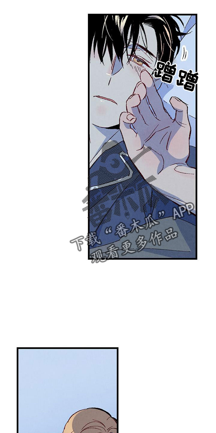 《完美伴侣》第127章【第二季】睡了个好觉 第25页