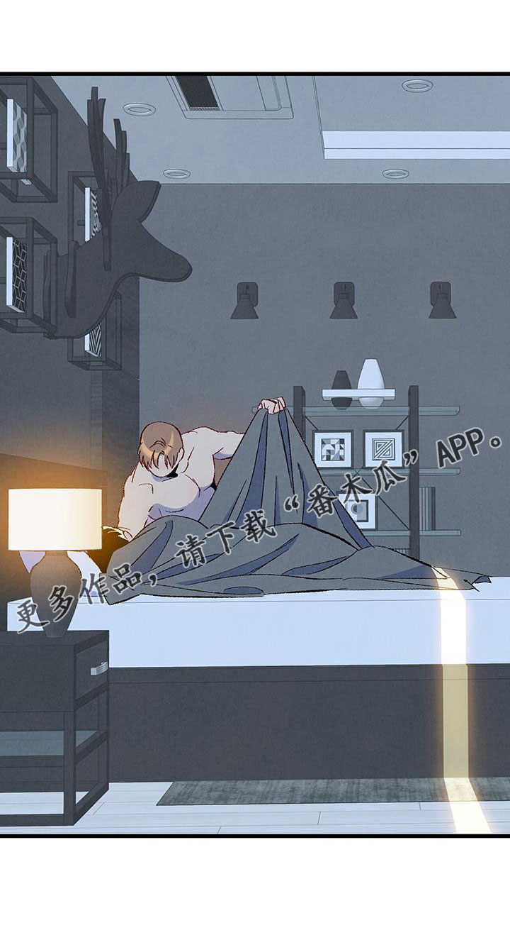 《完美伴侣》第127章【第二季】睡了个好觉 第28页