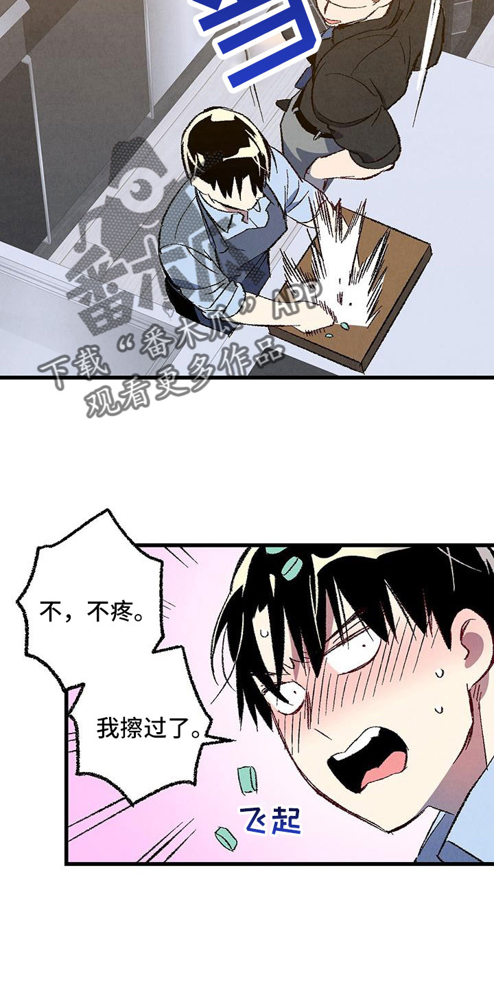 《完美伴侣》第126章【第二季】装蒜 第10页