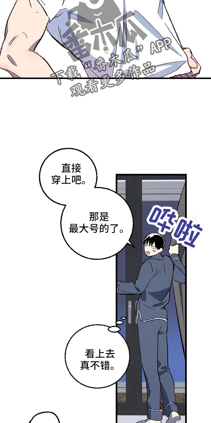 《完美伴侣》第126章【第二季】装蒜 第18页