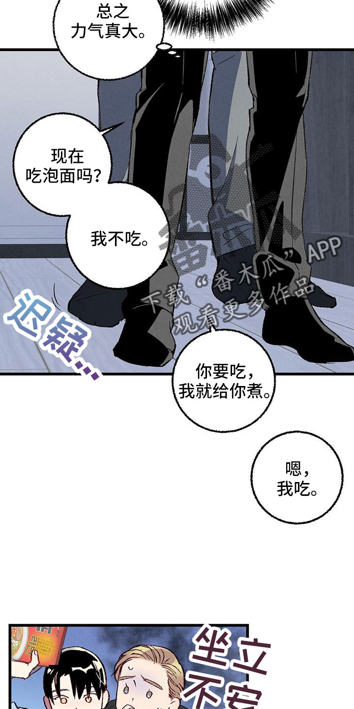 《完美伴侣》第126章【第二季】装蒜 第6页