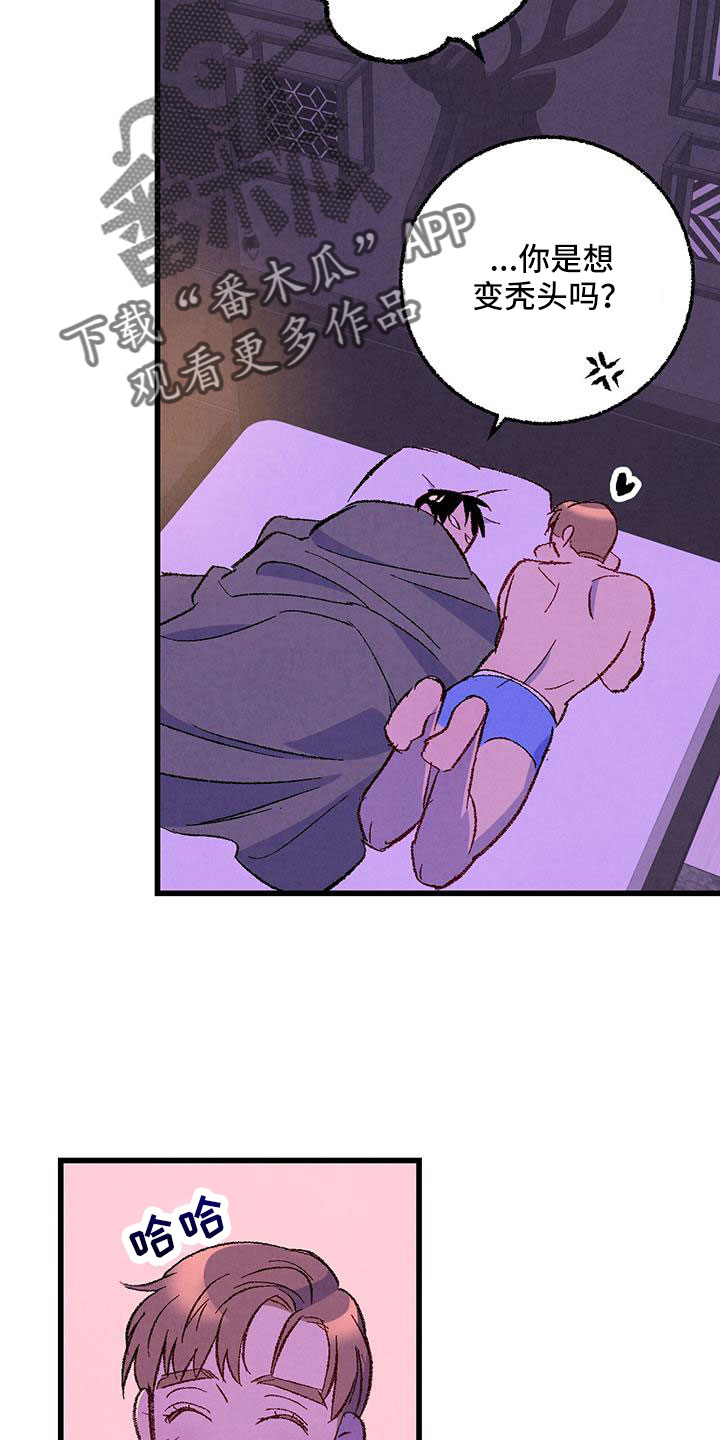 《完美伴侣》第128章【第二季】拜托事情 第15页