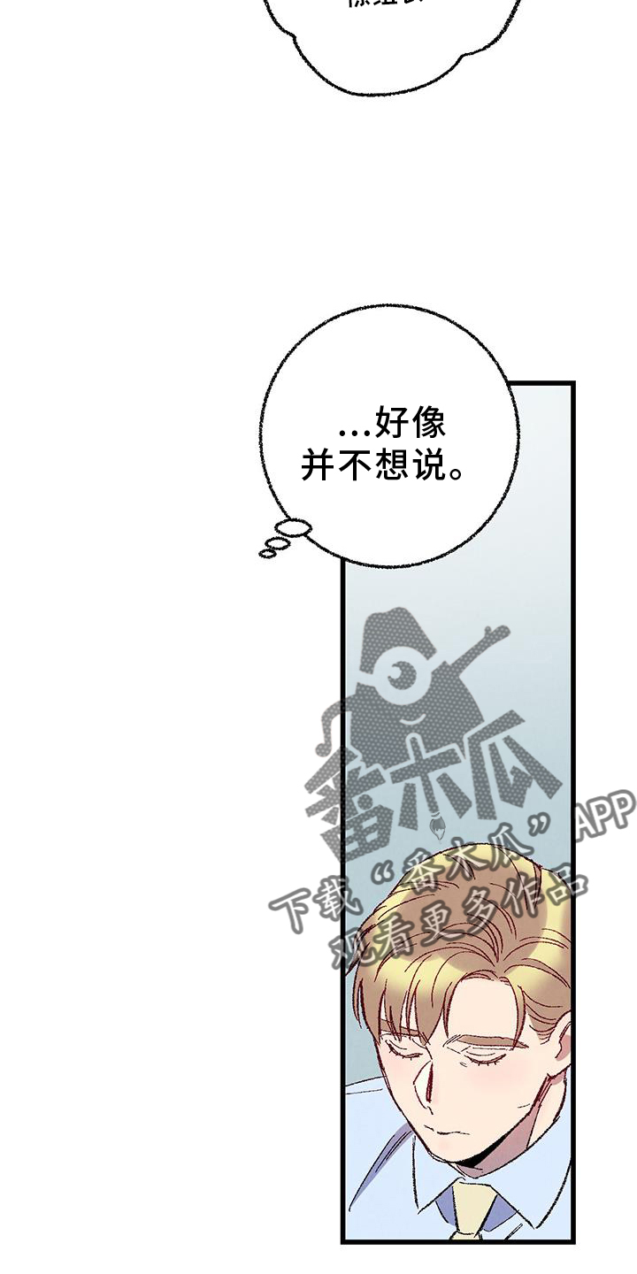 《完美伴侣》第132章【第二季】不知道更好 第4页