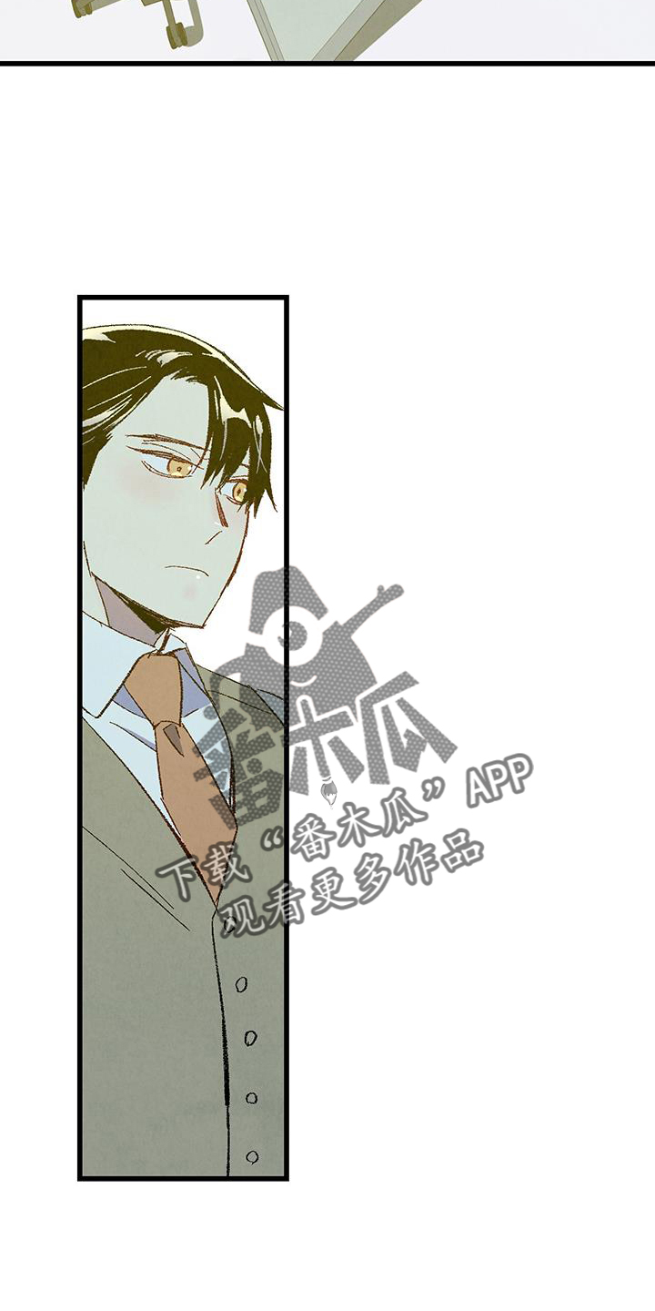 《完美伴侣》第132章【第二季】不知道更好 第6页
