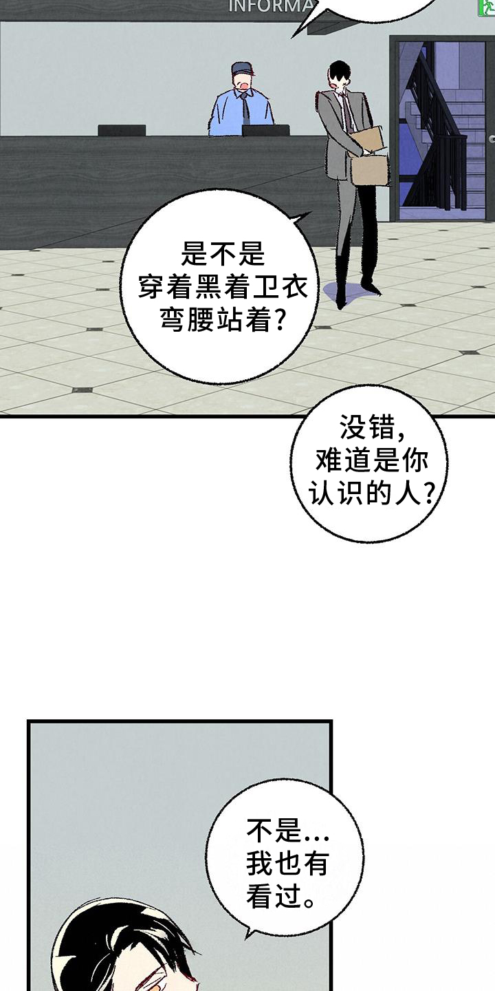 《完美伴侣》第134章【第二季】打赌 第13页