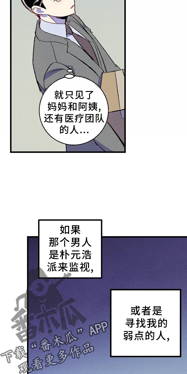 《完美伴侣》第134章【第二季】打赌 第14页