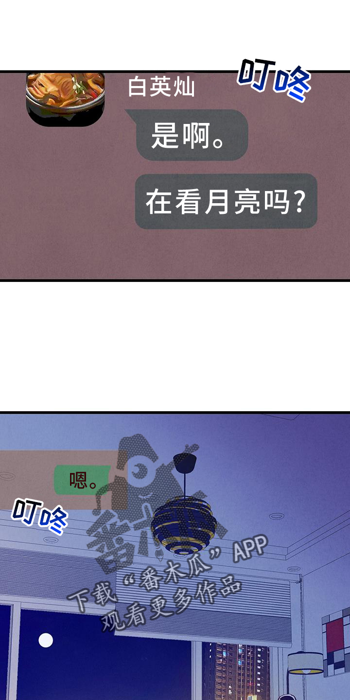 《完美伴侣》第134章【第二季】打赌 第16页