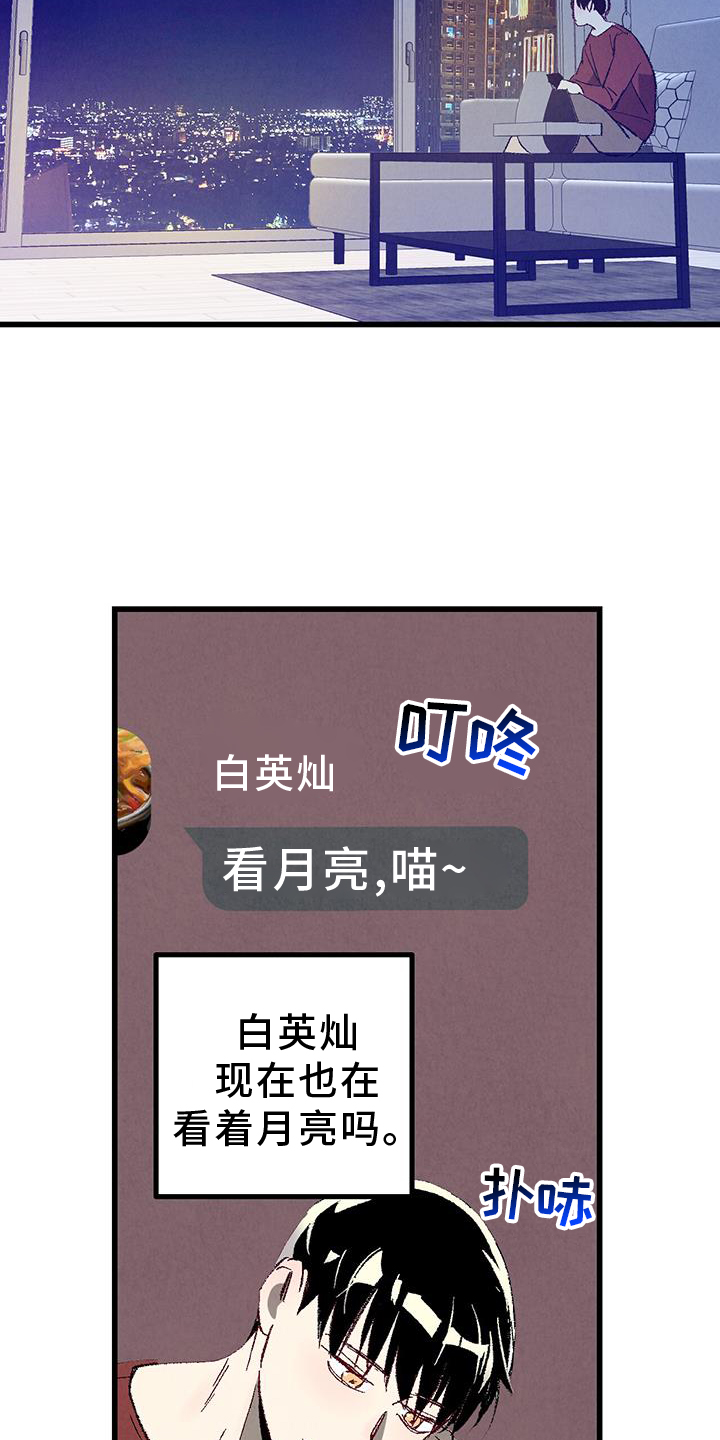 《完美伴侣》第134章【第二季】打赌 第17页