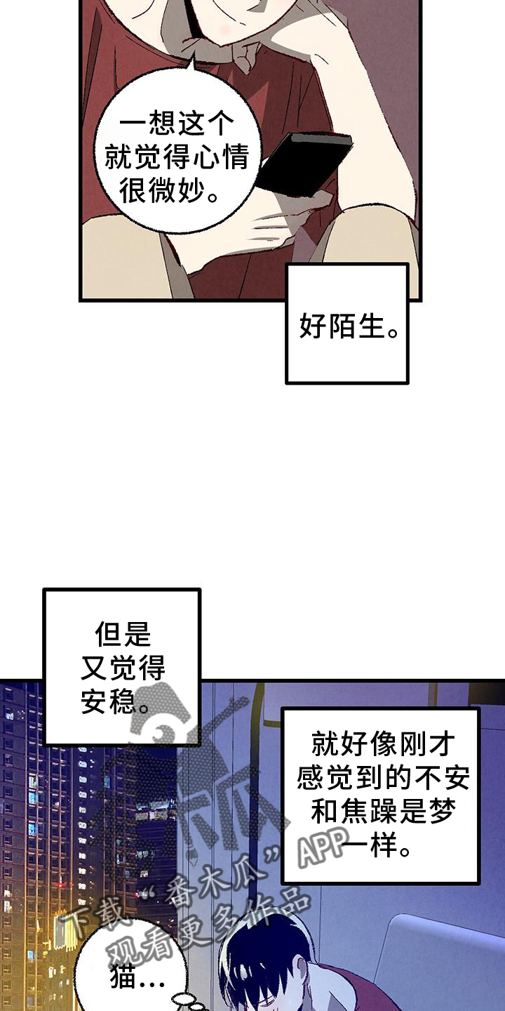 《完美伴侣》第134章【第二季】打赌 第18页