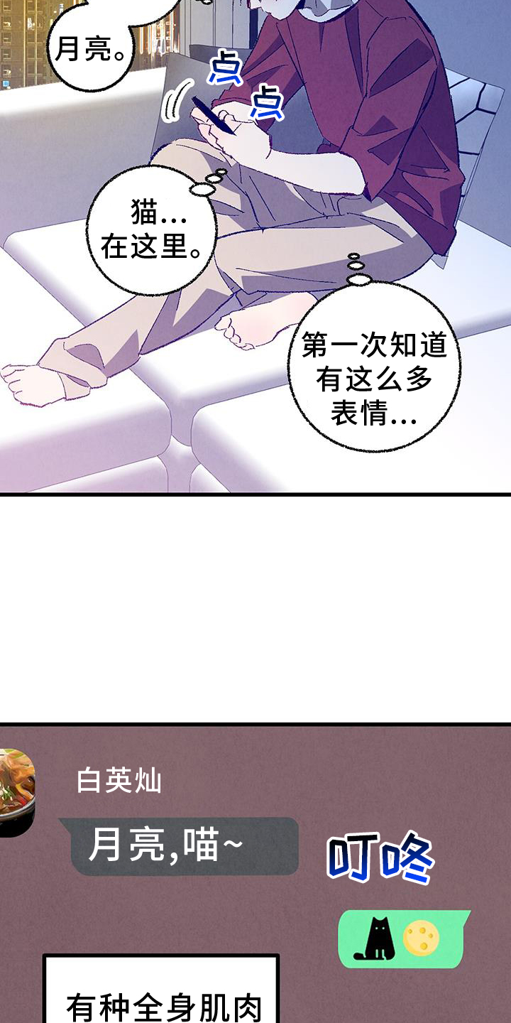 《完美伴侣》第134章【第二季】打赌 第19页