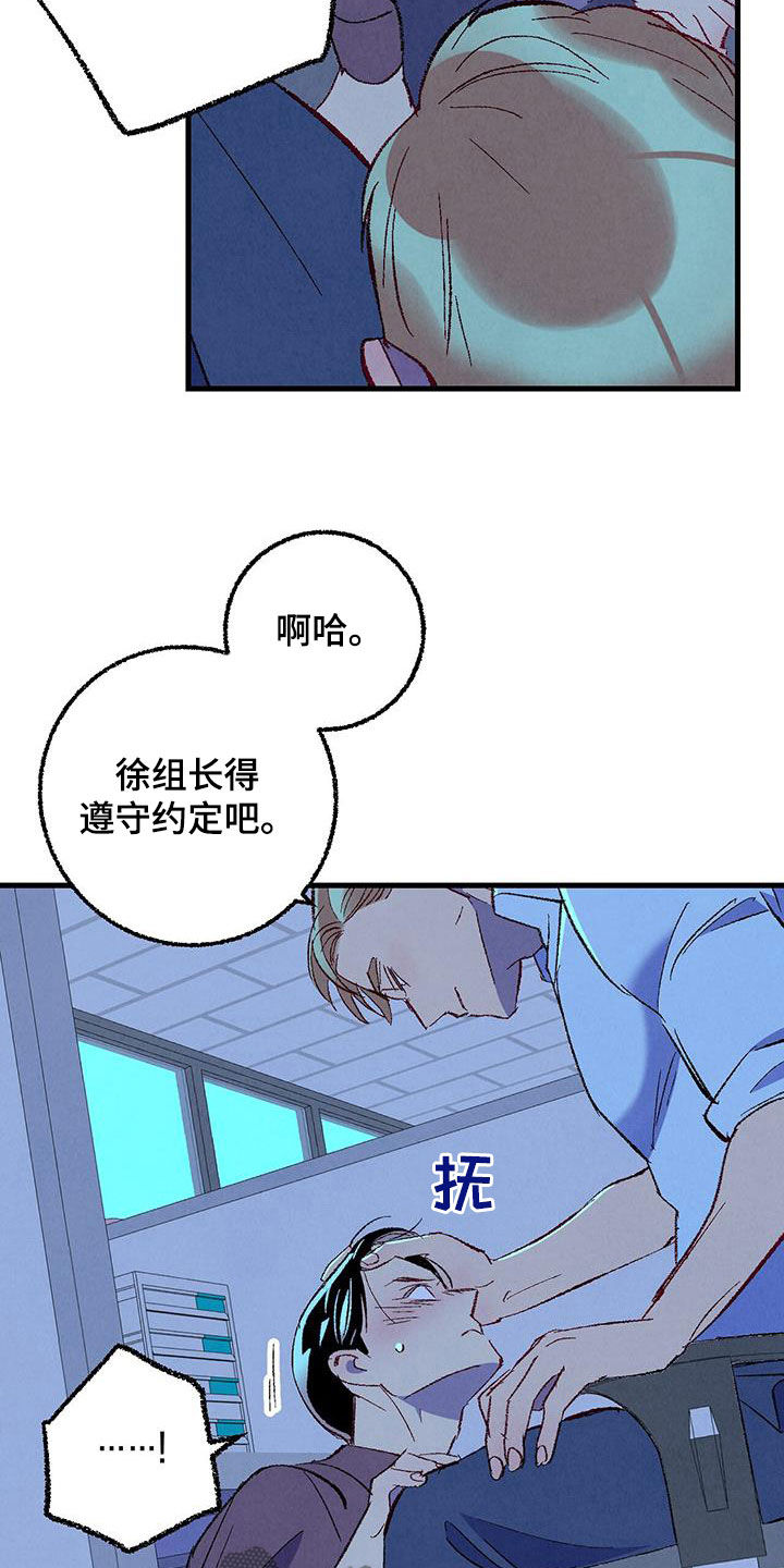 《完美伴侣》第135章【第二季】有恃无恐 第18页