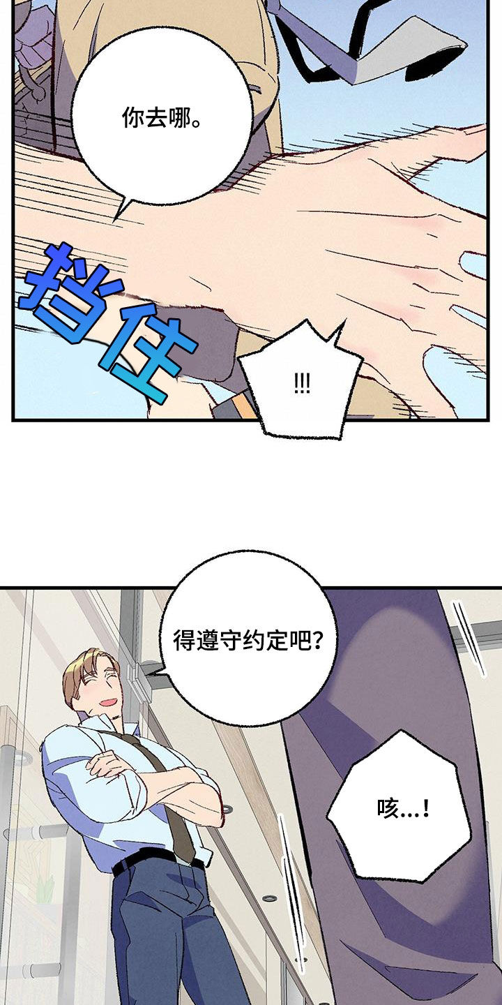 《完美伴侣》第135章【第二季】有恃无恐 第9页