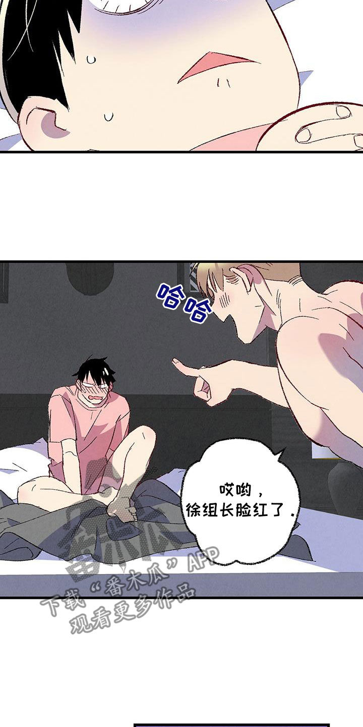 《完美伴侣》第137章【第二季】星期五 第19页