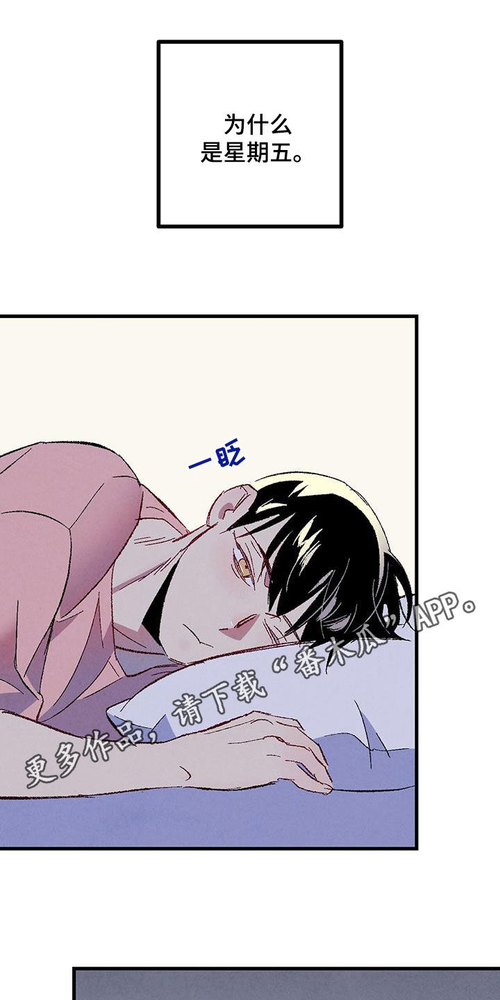 《完美伴侣》第137章【第二季】星期五 第1页