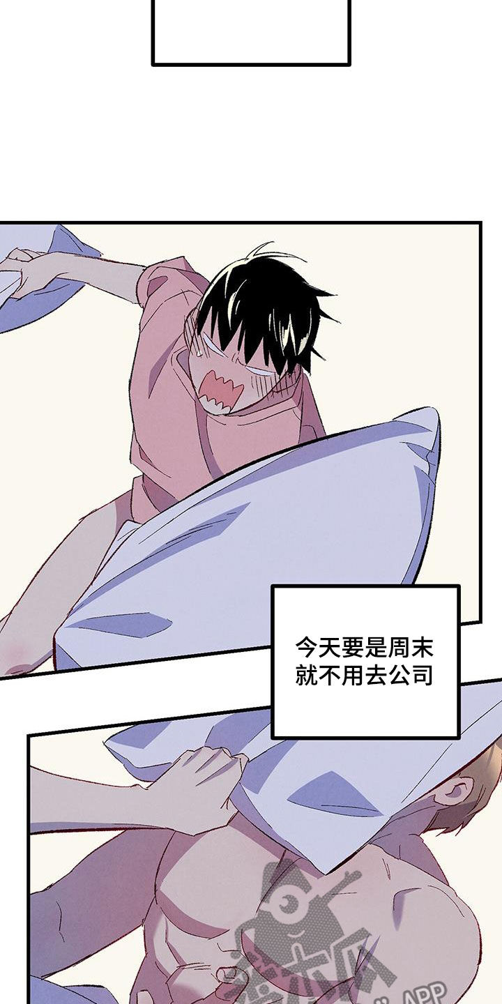 《完美伴侣》第137章【第二季】星期五 第21页