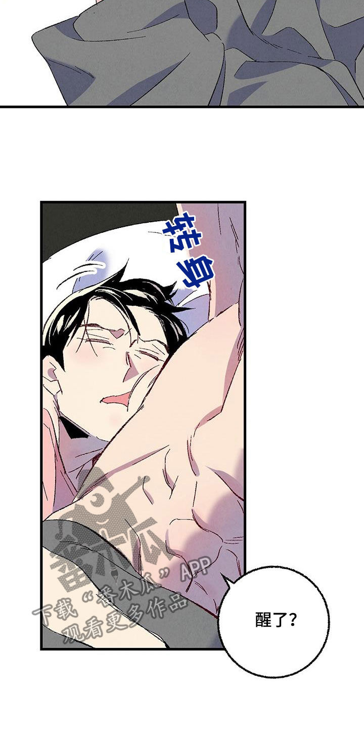 《完美伴侣》第137章【第二季】星期五 第3页