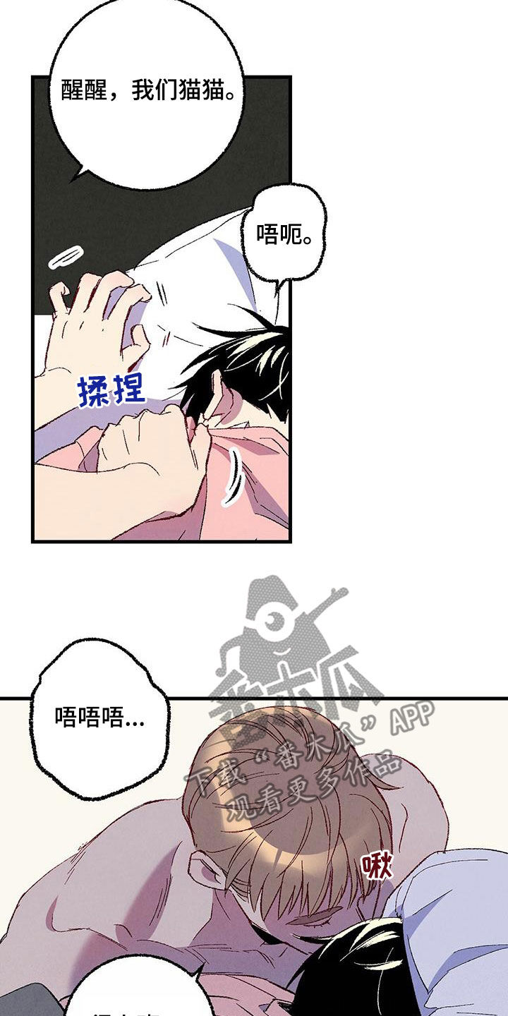 《完美伴侣》第137章【第二季】星期五 第8页