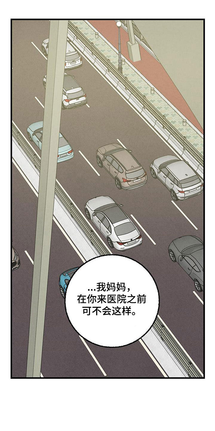 《完美伴侣》第139章【第二季】安稳 第4页