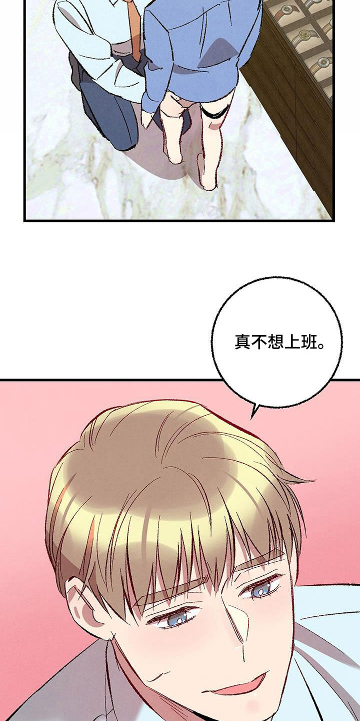 《完美伴侣》第138章【第二季】不想上班 第11页