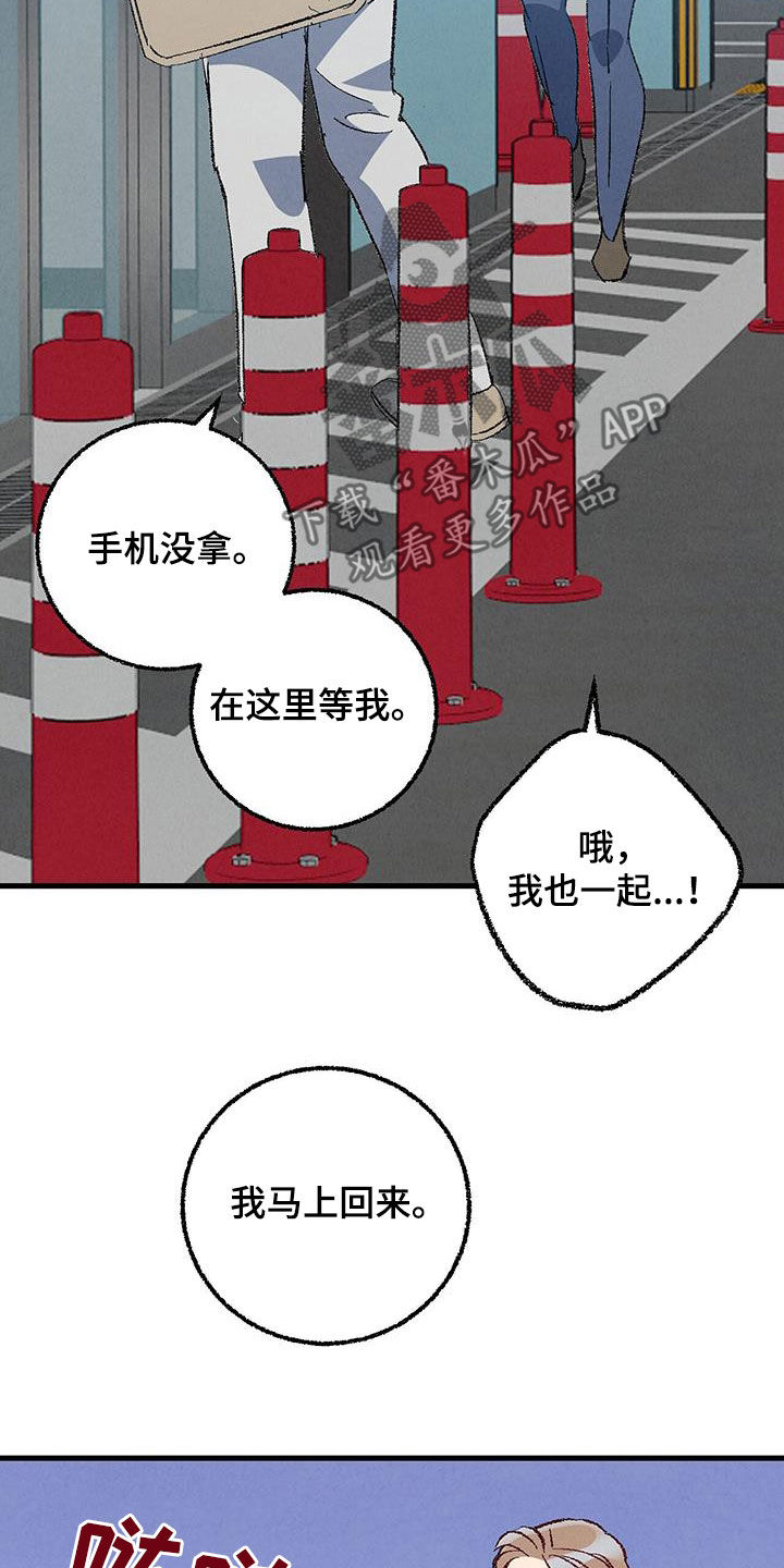 《完美伴侣》第138章【第二季】不想上班 第15页