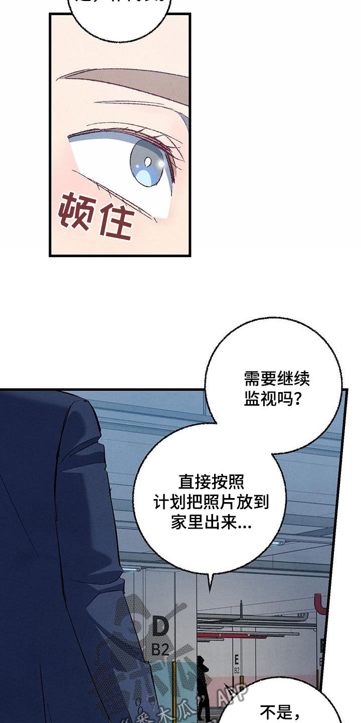 《完美伴侣》第138章【第二季】不想上班 第19页