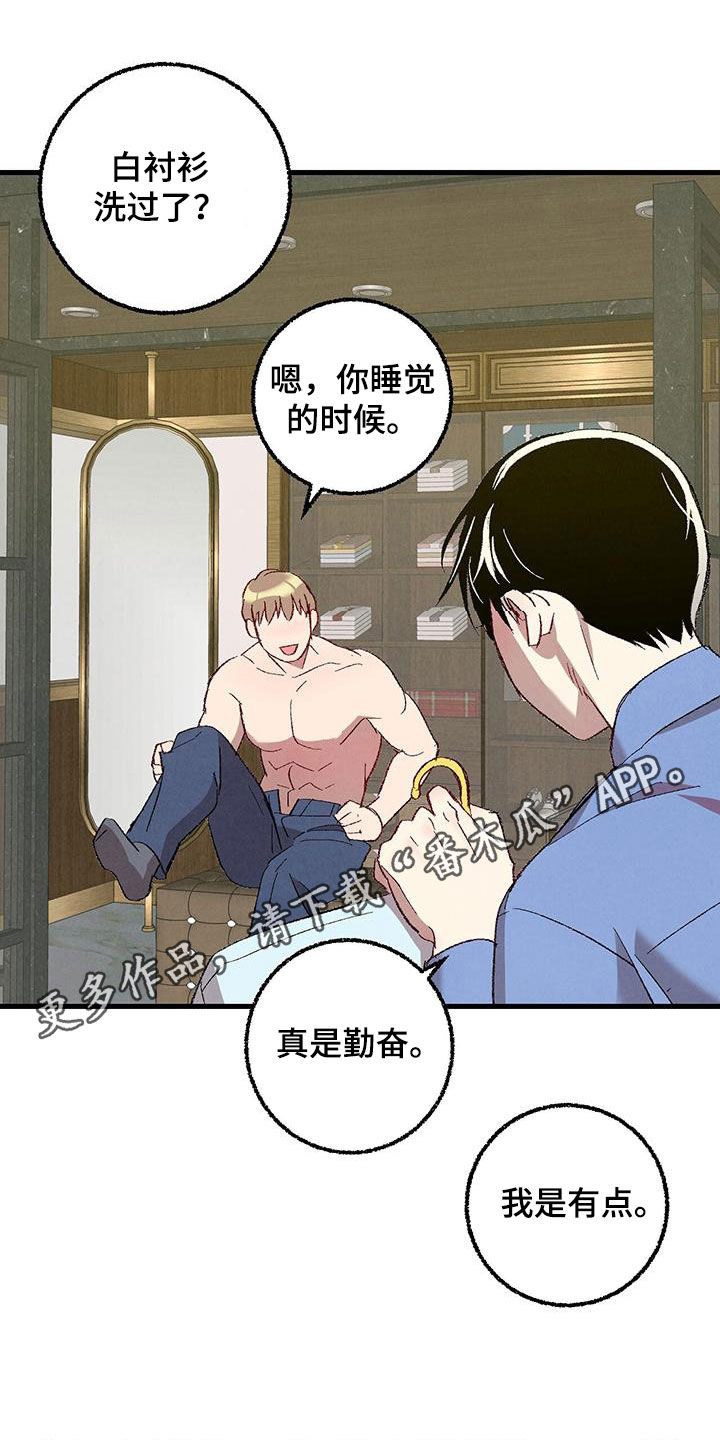 《完美伴侣》第138章【第二季】不想上班 第1页