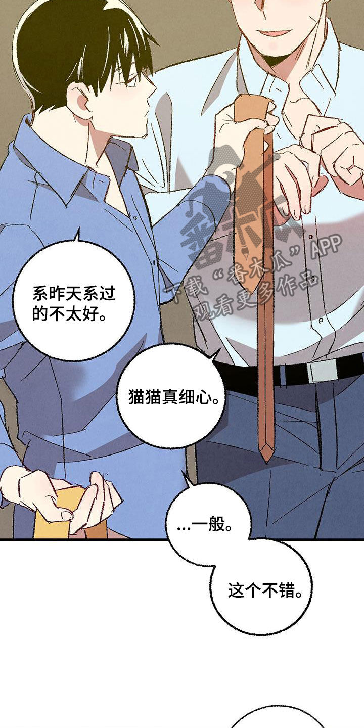 《完美伴侣》第138章【第二季】不想上班 第3页