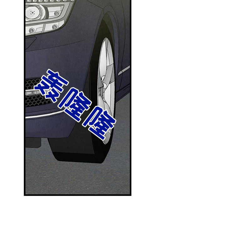 《完美伴侣》第140章【第二季】还人情 第11页