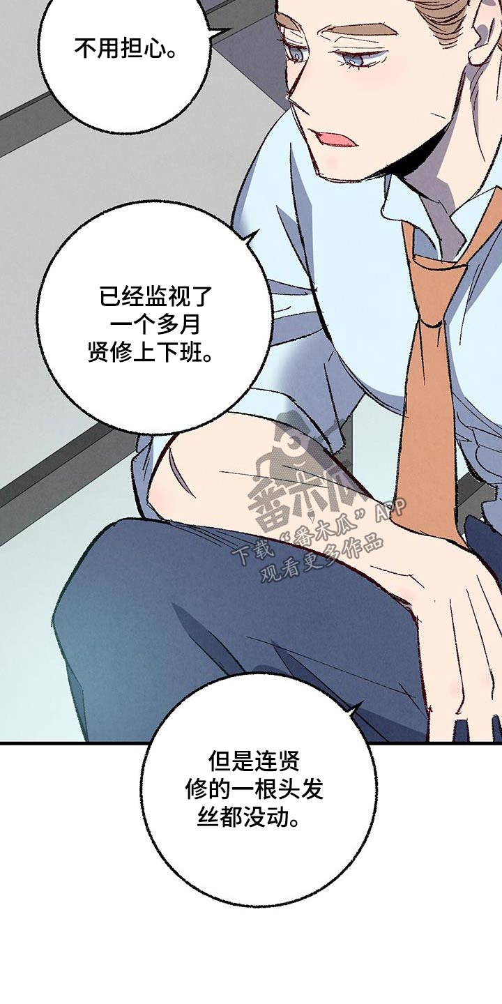 《完美伴侣》第143章【第二季】不择手段 第15页
