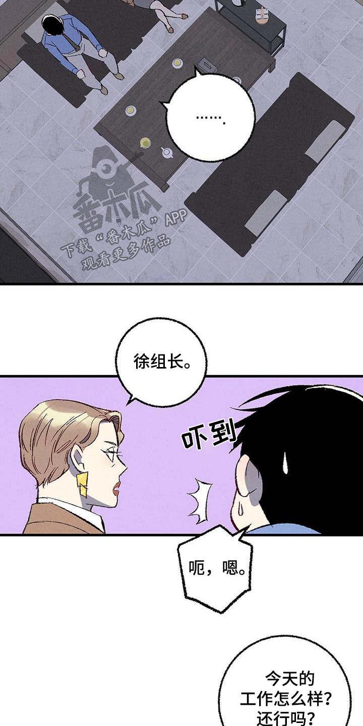 《完美伴侣》第143章【第二季】不择手段 第21页