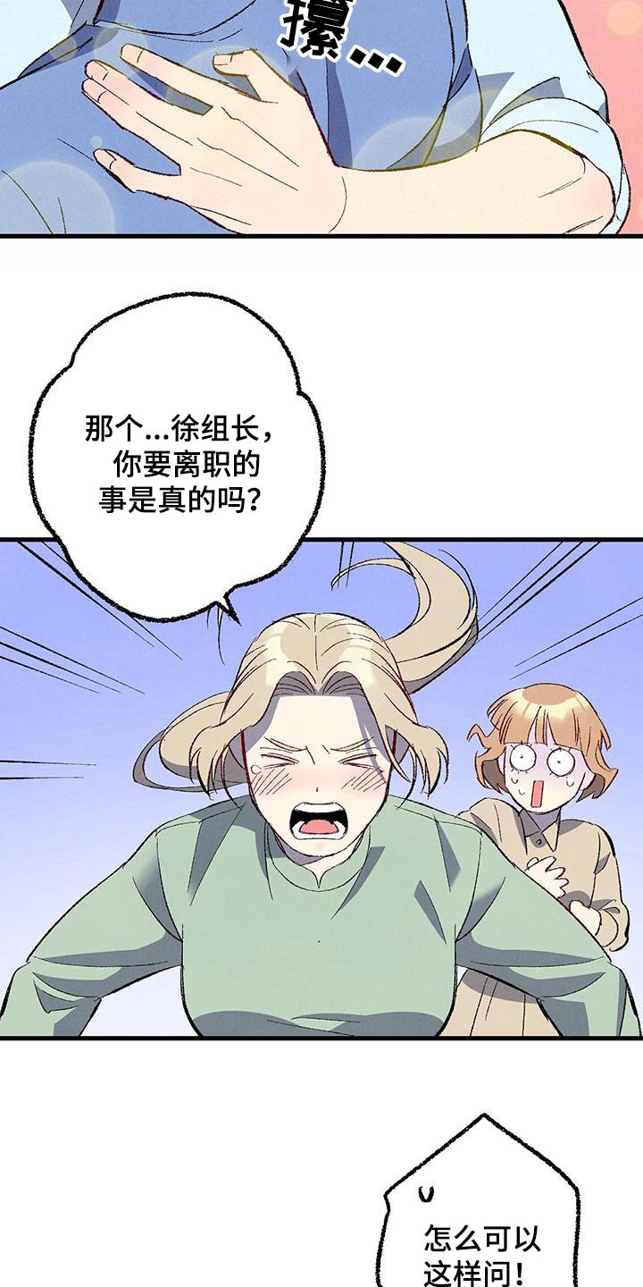 《完美伴侣》第145章【第二季】不会离职 第17页