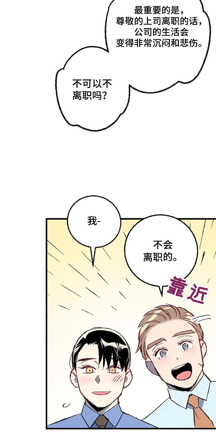 《完美伴侣》第145章【第二季】不会离职 第19页