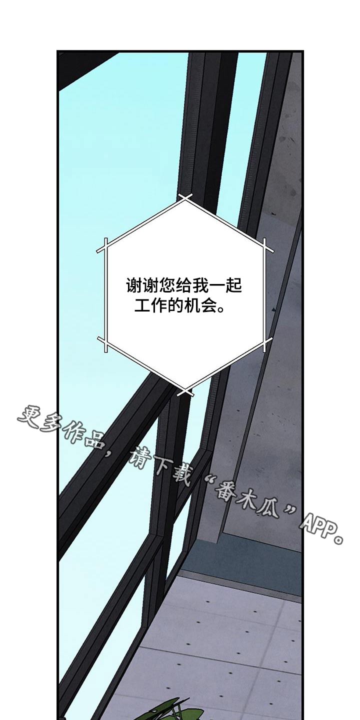 《完美伴侣》第145章【第二季】不会离职 第1页